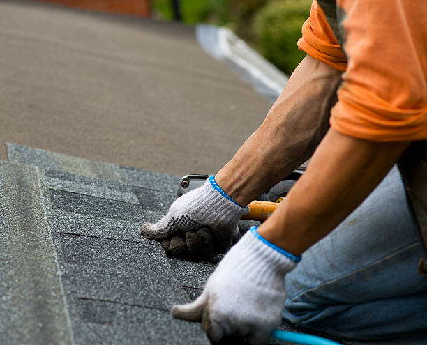 Best Roofing Contractor Near Me  in Forest Oaks, NC